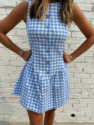 Olivaceous Blue Gingham Button-Front Dress
