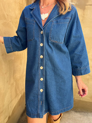 The Welma Denim Dress