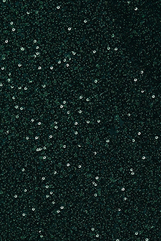 Le Lis | Nivra Sequin Midi Skirt Green
