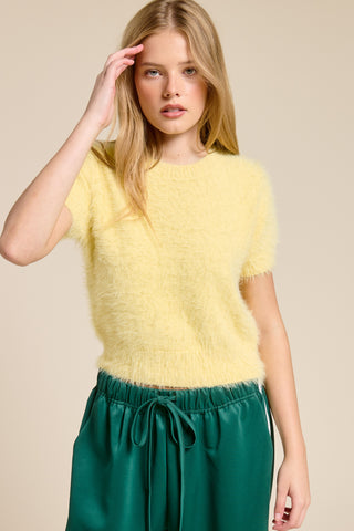 Mimosa | Zoe Fuzzy Short Sleeve Sweater Butter
