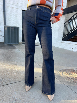 Daze | Sunset Flare High Rise Leg in Rinse