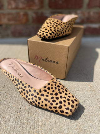 MATISSE FOOTWEAR | Classy Mule Cheetah