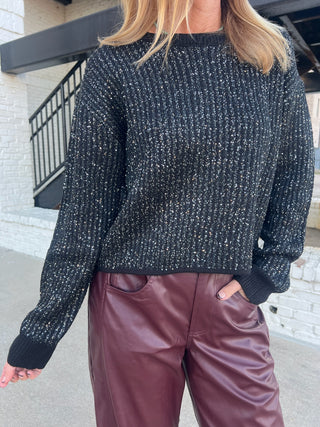 Z Supply | Gleam Sequin Sweater Black