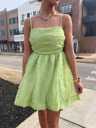 The Isla Tulle Mini Dress