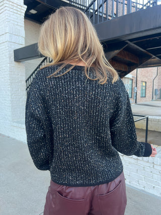 Z Supply | Gleam Sequin Sweater Black