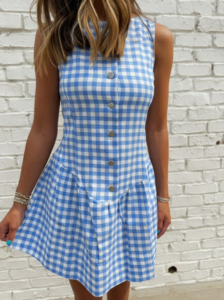 Olivaceous Blue Gingham Button-Front Dress