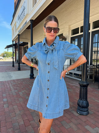 Entro | Brynn Bow Neck Tie Mini Dress Lt. Denim
