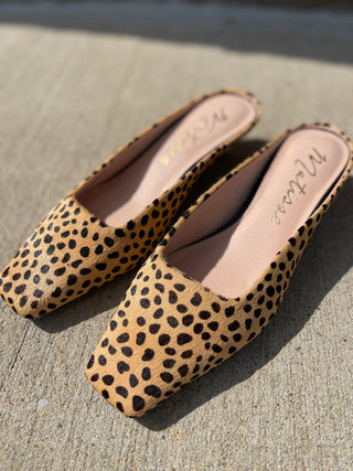 MATISSE FOOTWEAR | Classy Mule Cheetah