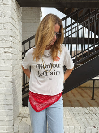 TLR | Hello I Love You Crop Oversized Tee