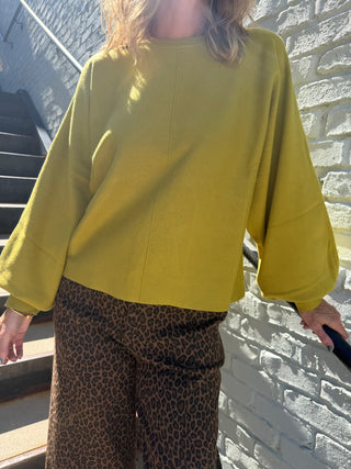 ENTRO Olive Martini Sweater
