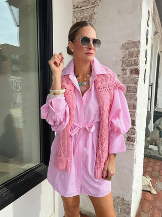 Remi Shirt Mini Dress Pink Stripe