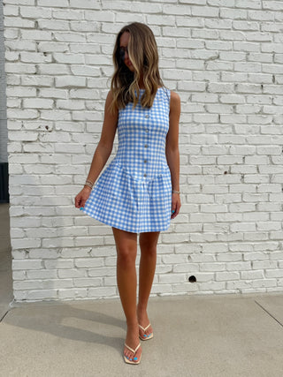 Olivaceous Blue Gingham Button-Front Dress