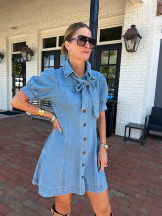 Entro | Brynn Bow Neck Tie Mini Dress Lt. Denim
