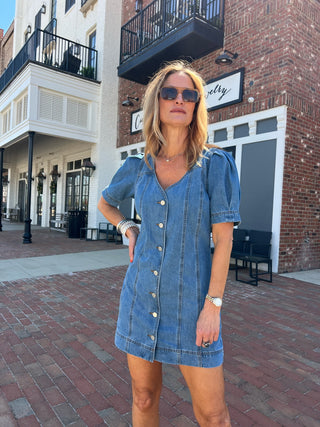 Diane Denim Dress