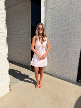 MABLE The Hal Dress in pink and white plaid - tie-front mini dress with V-neckline
