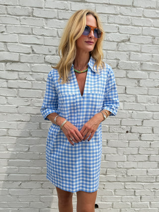 Olivaceous | Blue Gingham Dress
