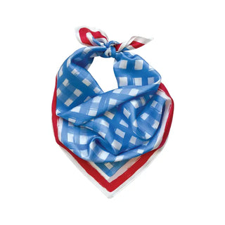 DALLIS Art | Tailgate Check Scarf Powder Blue & Red
