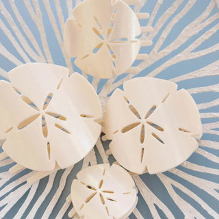 TELETIES | Sand Dollar Large Flat Hair Clip